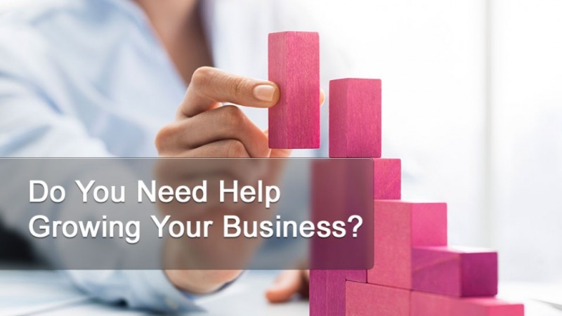 Do You Need Help Growing Your Business?