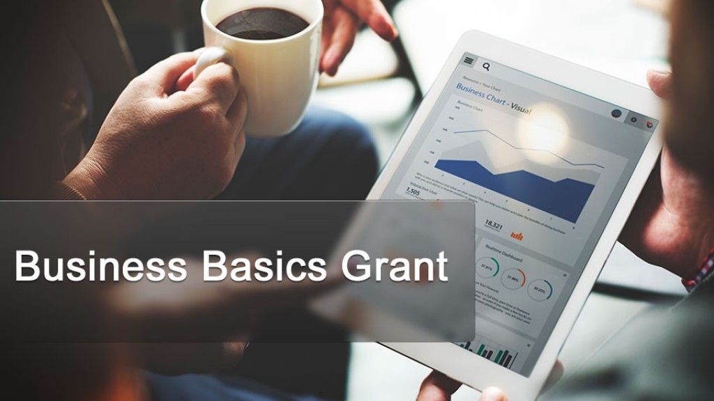 Business Basics Grant