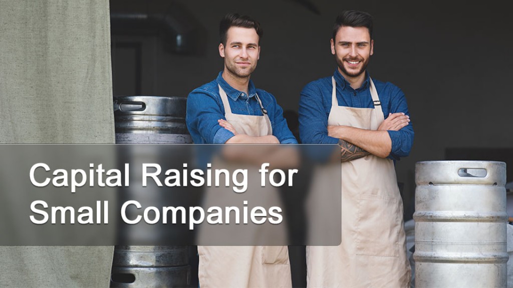 Capital Raising for Small Companies